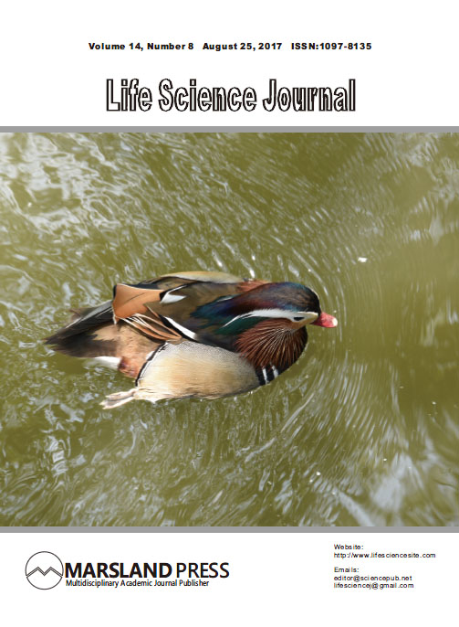 scientific publication journal